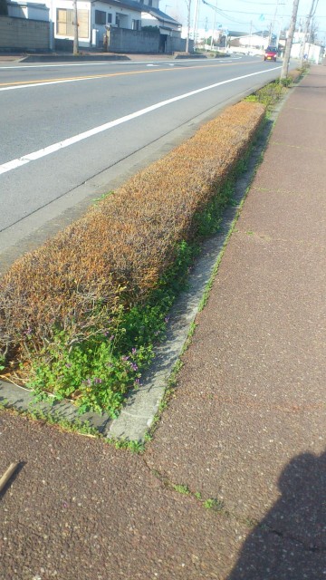 20130404 (2)