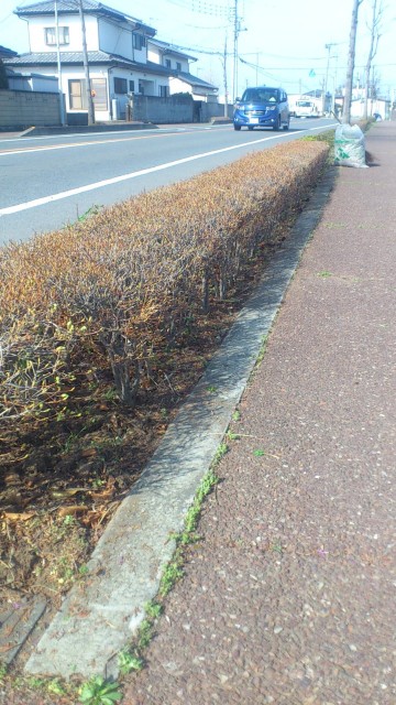 20130404 (3)