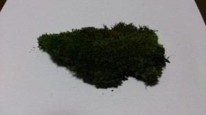 seisan-yoshino-2013.9.28-3