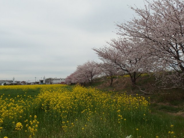 20160404iiduka0001