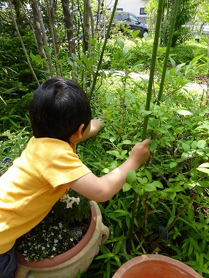 marketing-negishi-2012.6.9-3