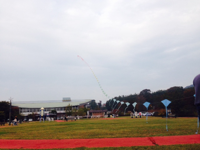 20131104 (1)