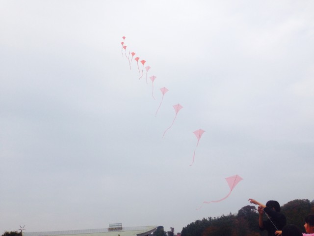 20131104 (2)