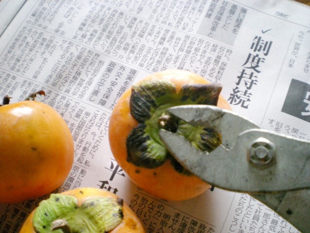 marketing-tosaka-2013.11.2-2