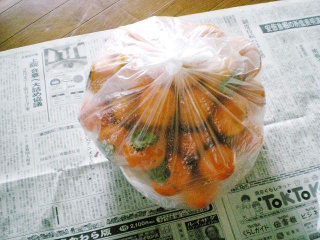 marketing-tosaka-2013.11.2-4