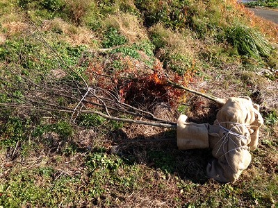 s-kantoku-sekiguchi.2013.11.28-5