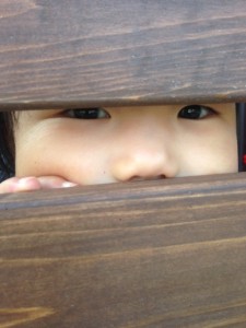 takahashi.2014.04.01.5