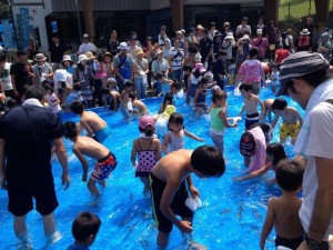 s-IMG_4595