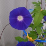 2014-07-19 08.33.38