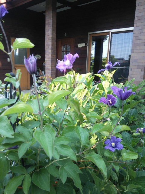 mitsuko2015.6.16-4