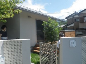 IMGP2988
