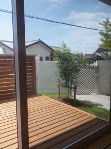 IMGP3009