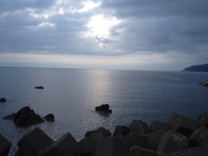 IMG_1197