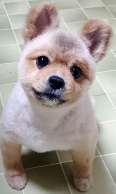 nakamura 2015.8.2