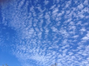 IMG_1428