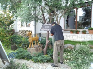 IMG_20150914_141128124