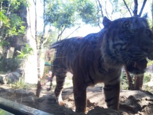 tosaka2015.11.2-4