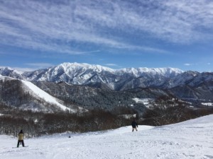 IMG_6227
