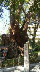 yamaguchi2016.3-3