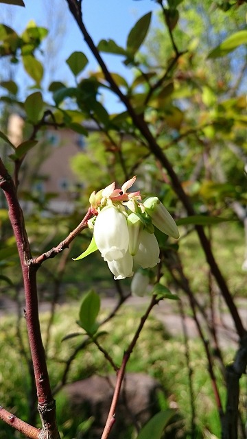s-DSC_5130
