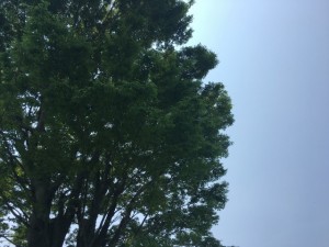 20160522suda (2)