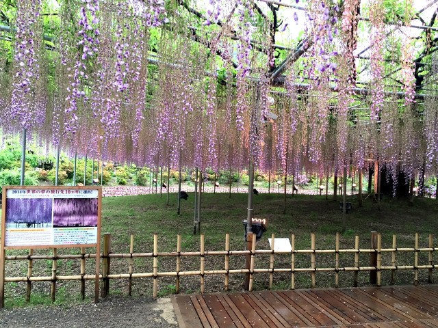 tosaka 2016.5.21-2