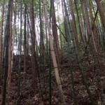 ②