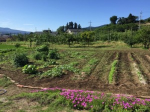 tosaka2016-6-1