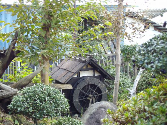 ozawa2016-11-2