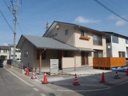 P1291104