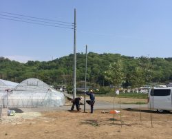 2017.4.29shinohara2