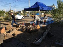 s-IMG_3768