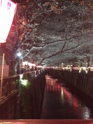 tosaka2017-4-3