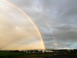 IMG_1543