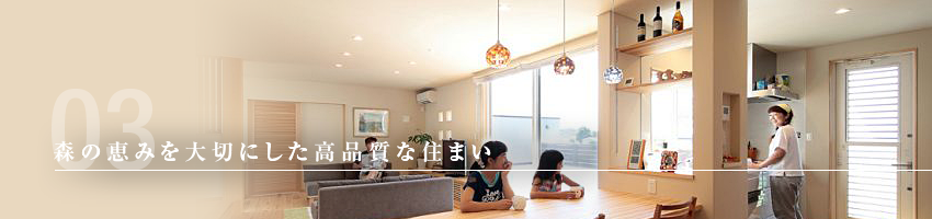 house_building_bn-003-3