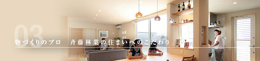 house_building_bn-003